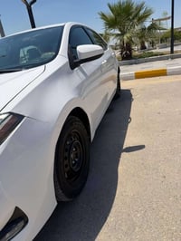 كورلا • ٢٠١٧ • ذي قار
