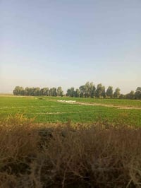 🪄دوانم جميله موقع جيد التاجي ذراع دجلة طابو سند 25 خدمات كاملة ماء اسا...