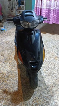 فراشه فحل • نضيفه • البصره الجزيره