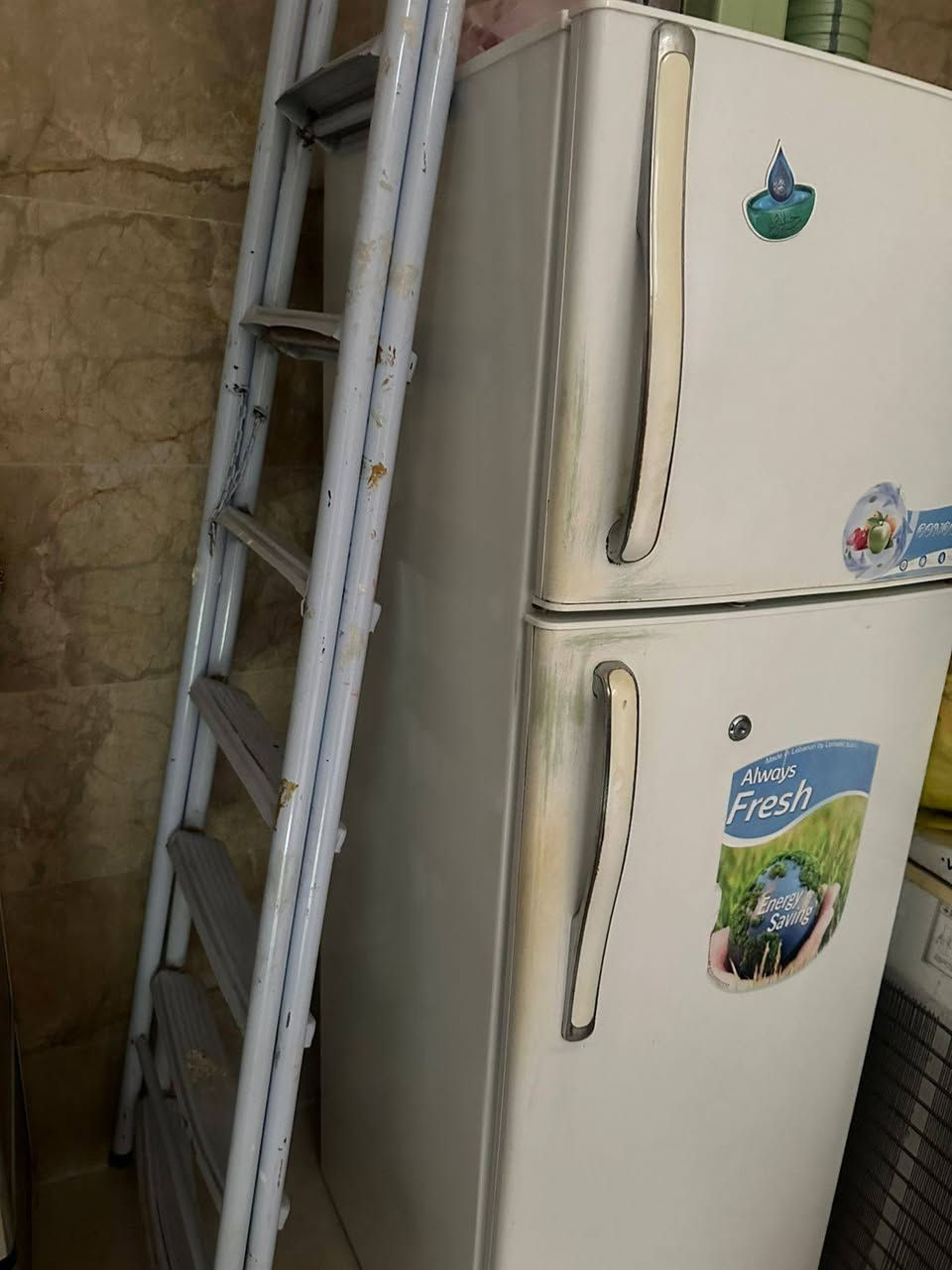 ثلاجه ١٢  قدم شغاله بس الماطور بيه ونه قيم واخذ مكاني نجف


**إذا كنت صاحب هذا الإعلان وتريد حذفه لأي سبب، رجاءا أرسل رسالة إلى الدعم الفني**