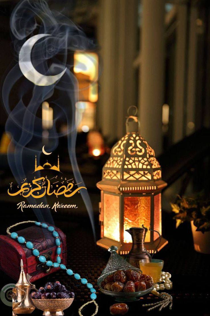 هام بخصوص قدوم شهر رمضان المبارك اعاده الله علينا وعليكم بالخير واليمن والبركات المناطق المشمولة با العرض فقط حي الوحدة والميثاق وقريبا حي فلسطين
نعلن عن توفر اشتراك الانترنت بسعر خاص جدا اول شهر فقط 25 الف  للإستفسار  الاتصال ع الرقم التالي ***********

***********
