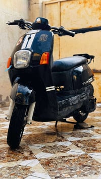 ماكس بوليسي • نضيفه • كهربائيات