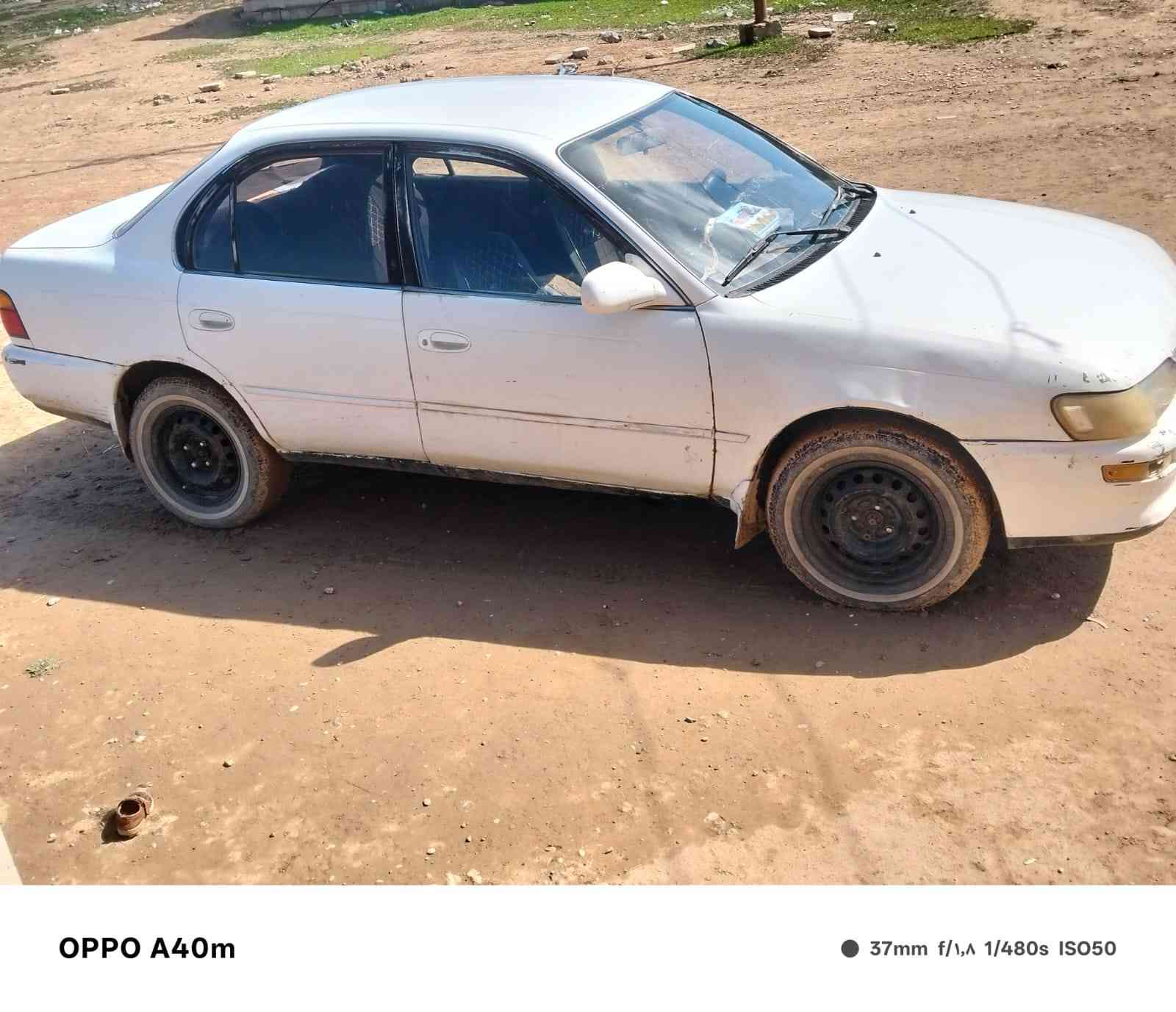 سياره كورولا 95 للبيع  الرقم صلاح الدين دولي صدر نص عمر مكانها عباسي
السعر 55وبيها مجال 
***********
