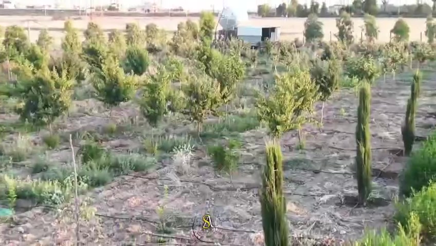 ✨️🌿 مزرعة الأرجوان 🌿✨
       ♦️ ترحب .. بيكم ♦️
حيث يلتقي الهدوء بجمال الطبيعة، وتتحول اللحظات البسيطة إلى ذكريات لا تُنسى.
مساحات خضراء، أجواء هادئة، وتجربة مختلفة تجمع بين الراحة والفخامة في قلب الريف.
ويتوفر داخل المزرعة مسبح للصغار والكبار 🏊‍♂️💦 ليكمل متعة الاستجمام والمرح لجميع العائلة.
انتظرونا… فالبداية أجمل مما تتوقعون 🤍
افتتاح قريبًا – مزرعة الأرجوان
مستعدين لتجهيز الحفلات والمناسبات 
♦️يتوفر حجز للعوائل والشباب ♦️
✨️علمأ القاعة تسع ٣٥٠ نفر 🪑🪑
✨️غرفه خاص للعرسان 🛏
✨️يتوفر خدمه الانترنت🛜
✨️كراج خاص للسيارات 🚙🚘
✨️حدائق خارجية 🏡🏡
✨️قاعة داخلية مع حمامات 🏩
✨️مطبخ داخلي و خارجي🍳🥘🫕 
✨️بار بيكيو 🍡🍔🍢
✨️حمامات شرقيه و غربيه 🚾
✨️غرفه ٢ لتبديل الملابس للرجال _ للنساء 🚺🚹
✨️مسبح ٢ شباب ١٩٠ سم _ اطفال ٣٠ سم 🏊🏊‍♀️
✨️✨️الحجز متاح الأن✨️✨️

 ***********‪ /  ***********‬‏  ‏‪***********‬‏  / ***********
