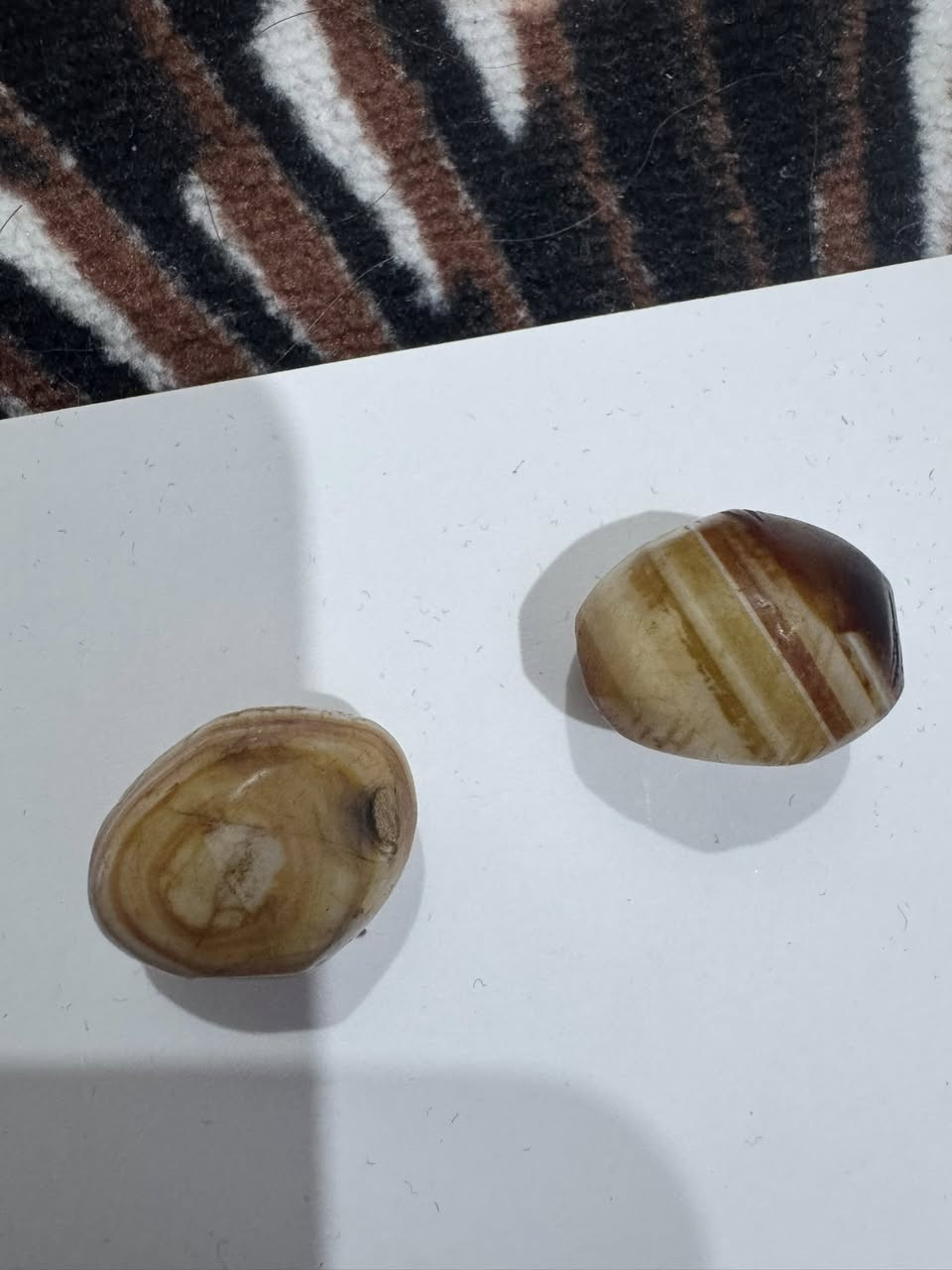 قديم


**إذا كنت صاحب هذا الإعلان وتريد حذفه لأي سبب، رجاءا أرسل رسالة إلى الدعم الفني**