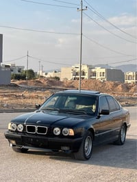 موديل ٩١ • صبغ جديد • كشنات جلد