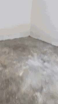 بيت الايجار في حي الخضراء( جبيل) قرب الجسر الثالث شارع ١٠ نافذ على شار...