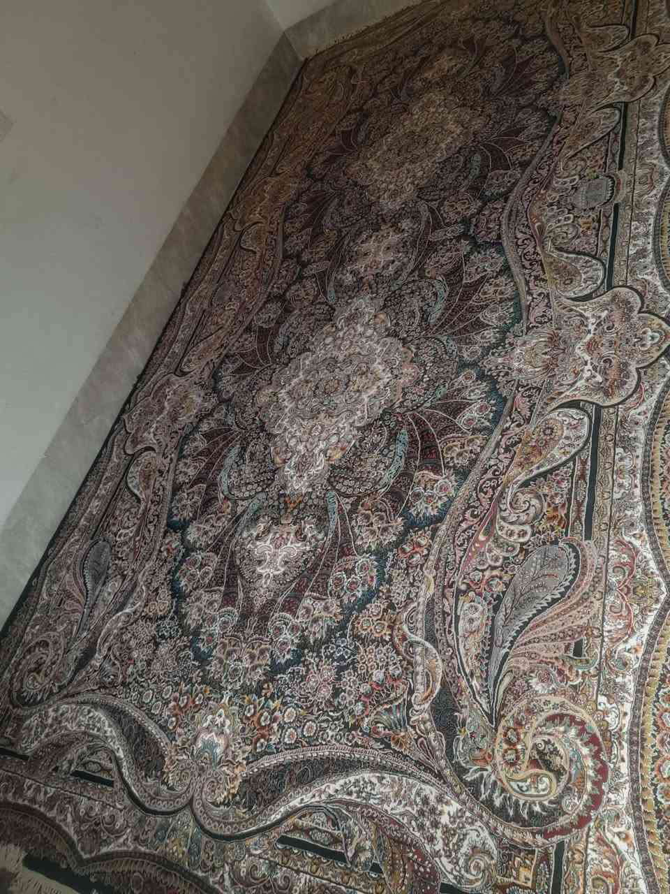 #الجمیع سڵاوئەم فەرشە 2ونیو بە5بۆفرۆشتن 700شانەیە 20ڕۆژە کڕاوەلەکەلار موشتەری بیتە چات ان شاءاڵلە


**إذا كنت صاحب هذا الإعلان وتريد حذفه لأي سبب، رجاءا أرسل رسالة إلى الدعم الفني**