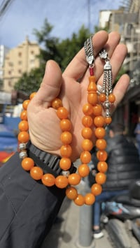 مسكي ألماني • عرق احمر • مسباح مقفول