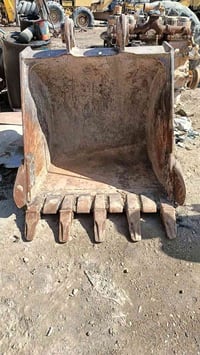 كلية جلاد • ١٢٥سم • مستعمل