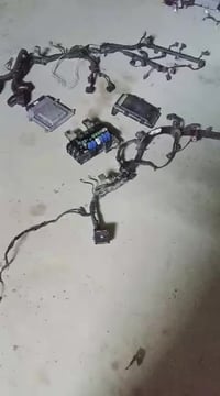 ضفيرة سوناتا • عقل سوناتا • قاعدة فيوز