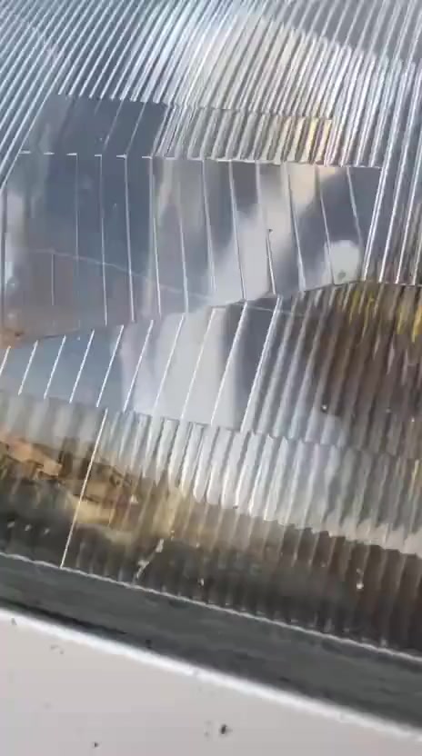 مارسدس دب موديل 92 رقم اربيل دولي شرط تحويل كير ومكينه بل جيس تبريد تدفئه شقاله كهربائيات كلها شقاله منضومت زنون تخبل شقاله تخم تاير كشن كهربائي شقال جام كهربائي سقف شقال بدون ضربه او دعمه سياره مصبوغه جماليه فقط قواعد دبلات سليمه للبيع ب 63 وبيها مجال ***********
