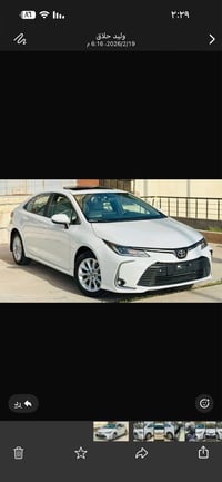 فول الفول • ٢٠٢٢ • رقم اربيل