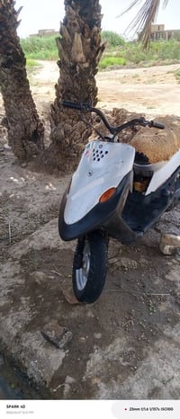 شغاله • نبدل • سبوشه