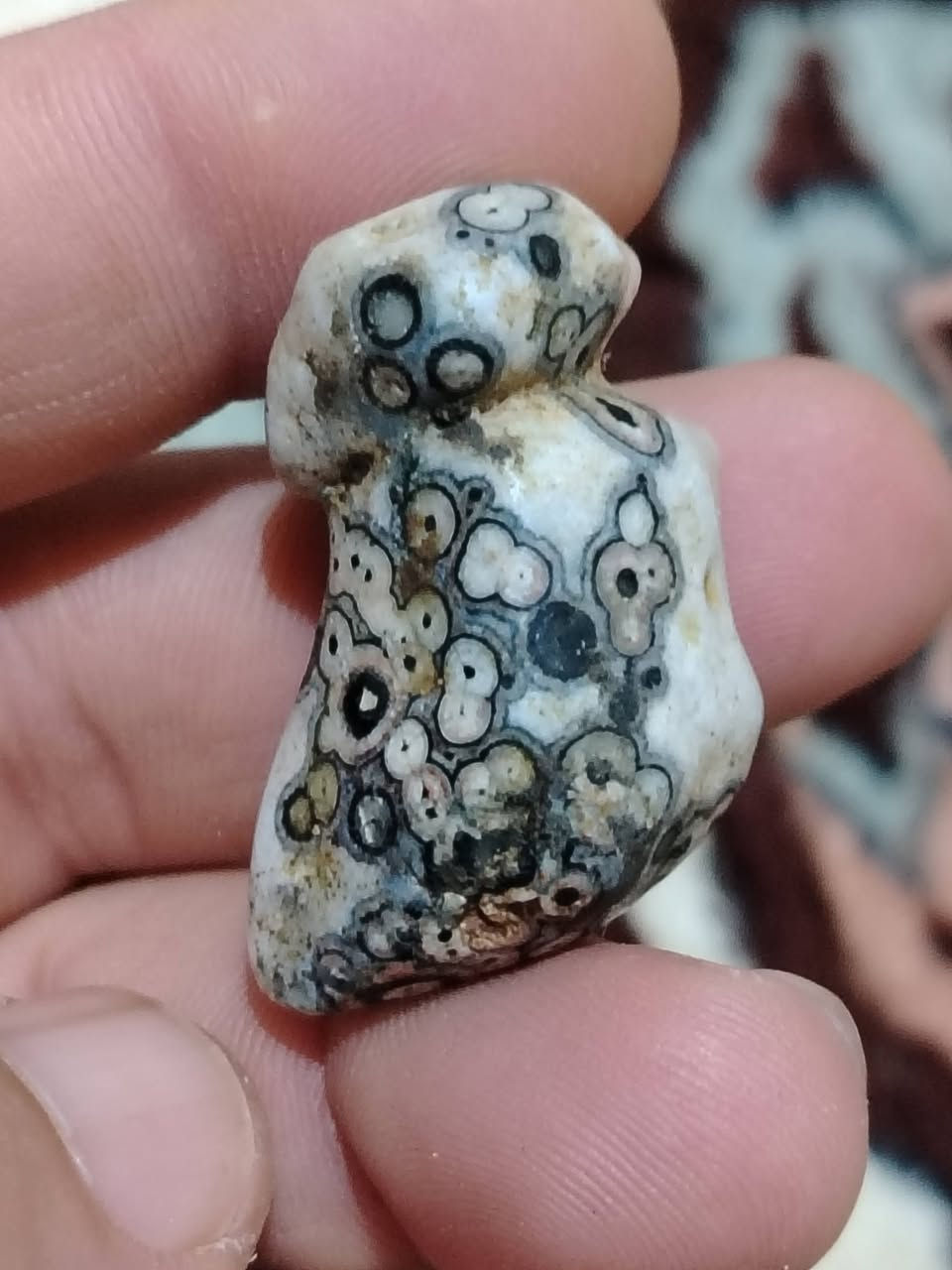 مجموعة من الخام اليماني المصور 
كل حجرة وسعرها


**إذا كنت صاحب هذا الإعلان وتريد حذفه لأي سبب، رجاءا أرسل رسالة إلى الدعم الفني**