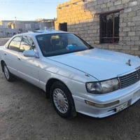 بطة منفصل • ١٩٩٤ • عامرية الصمود