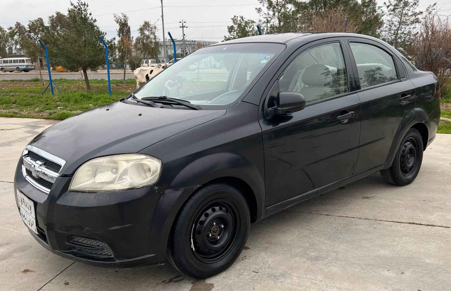 ئةڤيو موديل 2009 گير عادي مةكينة گةورة رةقةم سليماني سةنةوي بةسةر چووة گير مةكينة تةقةو رةقة بةشةرت كارةباي هةمووي بةشةرت كالبونةوةي نية 4 پارچةي بوياخة بي ناو گرتن نرخ 50 گةلا و مةعامةلة شوين چةمچةمال 
***********
*********** السليمانية, العراق
