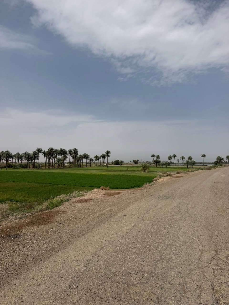 4 دونم من السده الى الشط في الرمادي زنكورة للبيع🌊🌿

للبيع أرض مميزة جداً بموقع استراتيجي وإطلالة ساحرة، تمتد من السدة وصولاً إلى حافة الشط.

📍 الموقع: الأنبار - الرمادي - منطقة زنكورة (قبل مزرعة الشيخ إحسان).

📐 المساحة: 4 دونم طابو زراعي .
📏 الواجهة: 40 متر على السده والشط
📑 التفاصيل القانونية: طابو زراعي - سند 25.

المميزات:

✅ إطلالة مباشرة وخلابة على نهر الفرات.
✅ خدمات كاملة متوفرة (كهرباء، طرق، وصول سهل).
✅ الأرض مثالية لتكون: (مزرعة خاصة، مشروع استثماري، مشروع زراعي، أو سكني خاص).

لا تفوت فرصة الاستثمار في أجمل مناطق زنكورة حيث الهدوء والطبيعة والخدمات.

عقارات زنكورة: خياركم الأمثل للاستثمار الناجح.

لديك عرض أو استفسار؟ لا تشيل هم! 💬
فريقنا بانتظار تواصلكم للرد على جميع طلباتكم بكل اهتمام.
📲 اتصل أو أرسل لنا عبر الأرقام:
***********

🏛️موقع المكتب ⏬️⏬️
أو زيارة موقعنا :  الرمادي_ ناحية اليرموك (زنكوره سابقاً)_ المفرق  /مقابل جامع هادي البشير (البمرعي)

#مكتب_عقارات_زنكورة 🕹️
 #ناحية_اليرموك_زنكوره_سابقاً 

#الأنبار #الرمادي #زنكورة #عقارات_الأنبار #أراضي_للبيع #استثمار_زراعي
