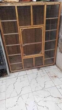 قفص بي ارسي • قوي • تنومه شط العرب