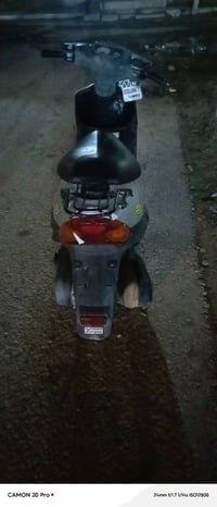 موتور بيجي • صفر • فحل