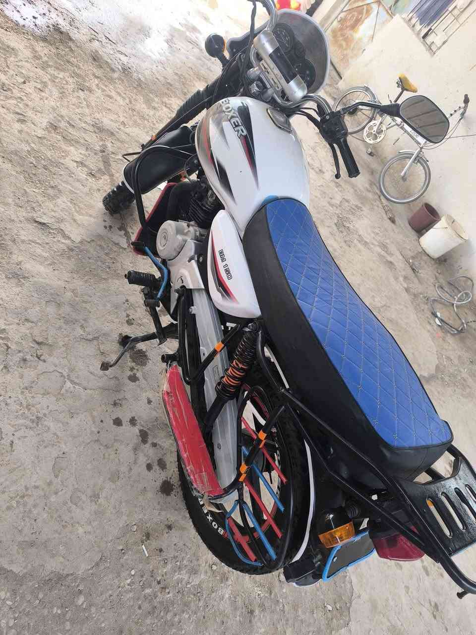 السلام عليكم دراجه فحل موديل 19 رقم وسنويه دراجه جاهز من كلشي سنويه لحد 28 واتساب ***********
