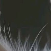 حي الكوفه • ناصريه الشطره • ٢٠٠م