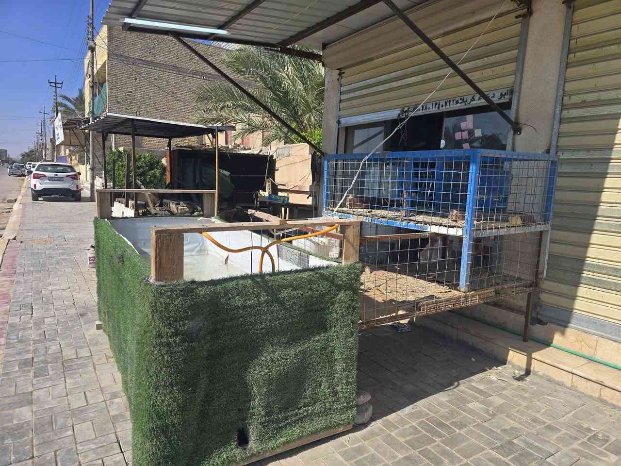 غراض محل لبيع الأسماك والدجاج للبيع 
***********
