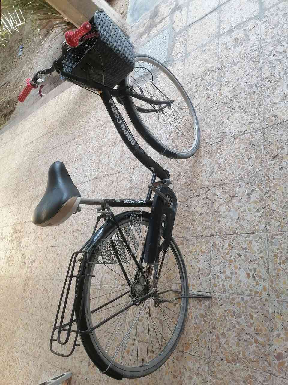 بايسكل لل ب ي ع ال س ع ر 60 ***********
***********
