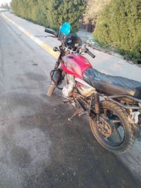 بوكسر • ٢٠٠ • مكفول