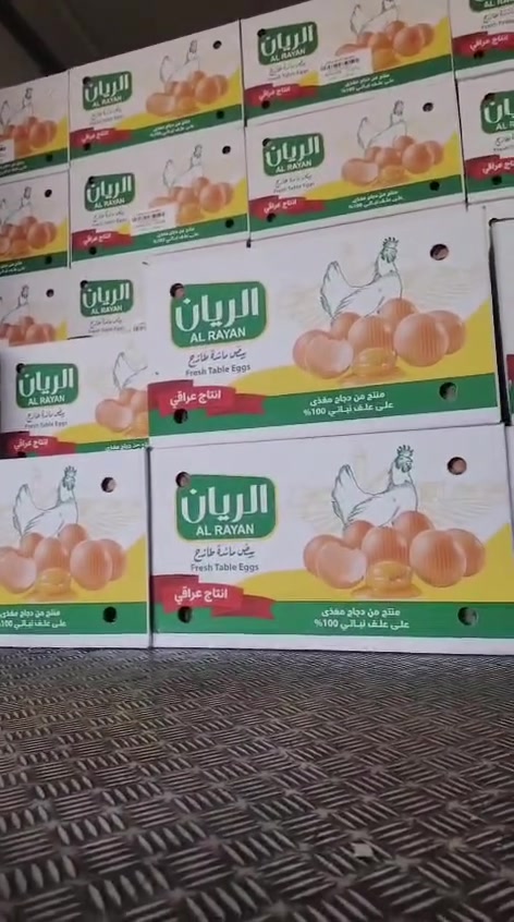 وزن 26السعر60
ابيض اليوسف وزن


**إذا كنت صاحب هذا الإعلان وتريد حذفه لأي سبب، رجاءا أرسل رسالة إلى الدعم الفني**