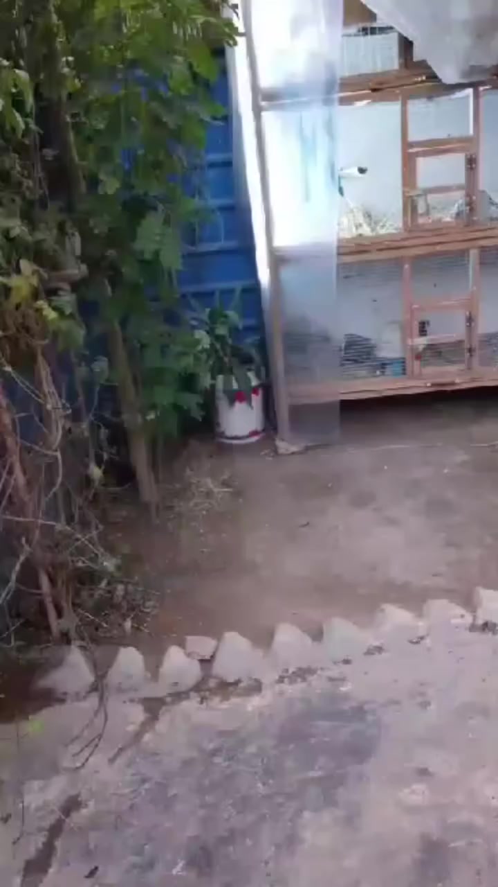 لوجهه 7 ونزال 15 لمجوع لكلي 105 طابقين لفوك يشبه جوه بس نصه سيراميك مو صبغ 
مكاني لعبيدي قريب عل جامع مال شارع لعام

170وبي مجال


**إذا كنت صاحب هذا الإعلان وتريد حذفه لأي سبب، رجاءا أرسل رسالة إلى الدعم الفني**