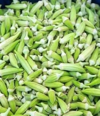 بانيا • درجة أولى • مقطعة جاهزة