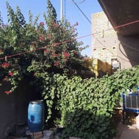 حي الحوراء • ٢٠٠م • جاهز للسكن