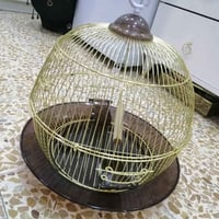 عربانة أطفال • قفص بلبل • جهاز توست