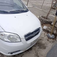 افيو • ٢٠٠٩ • اربيل