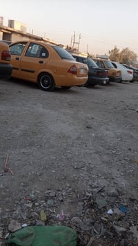 طيبه • ٢٠١٦ • رقم انكليزي