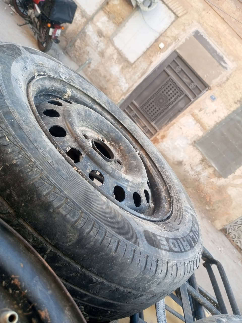تخم حجم 14 شيري كوين للبيع او مراوس بويل كب مكاني بالاعظمية بالسفينة ***********=***********

