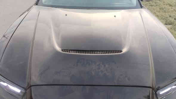 سلام عليكم دعميات ودوس وبنيد وماصدات اسارتي مراوس بدعمات وبنيد عاديات كون نفس الون عنوان ميسان رقم ***********
