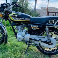 سولنك • سلف • ٢٠٢٥