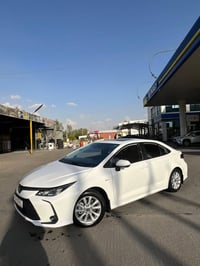 كورلا هايبرد • ٢٠٢٥ • رقم بغداد