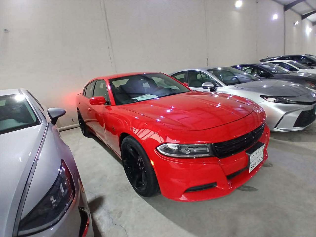 SXT2019
 كندي دخول كلين مع تقرير كارفاكس وسونار المندلاوي 
موصفاتها للي ميعرف SXT بصمة تشغيل وابواب شاشة وسط حساسات خلفية كامرة خلفية كشن كهرباء تشغيل عن بعد وشفتات ستيرن 
ماشية 70 الف 
بالعراق هي واكفة رجعت ستوته عليه شايلة بوري وطخ حافة البنيد وصار صبغ على كد شبر 
وبيهة سونار يوضع الطخة 
سيارة جديدة اني ثاني واحد اخذهة بعد صاحبهة صارلهة 5 سنوات عندي الباتري قبل 3 اشهر يلا بدلت الاصلي مالتهة وموجود عندي 
الفيتم والبلكات والمحرك وضع الشركة بدون تحديث او اضافات 
جانت مضمومه لان جنت مسافر قبل العيد بيوم الاربعاء بدلت لوحات انكليزي وسنوية وهزة جديدة رقم سليمانية وباسمي 
تايرات بحالة جديدة 
240 وبيهة مجال 

 تفاصيل اكثر راسلني او اتصل وتدلل
***********
