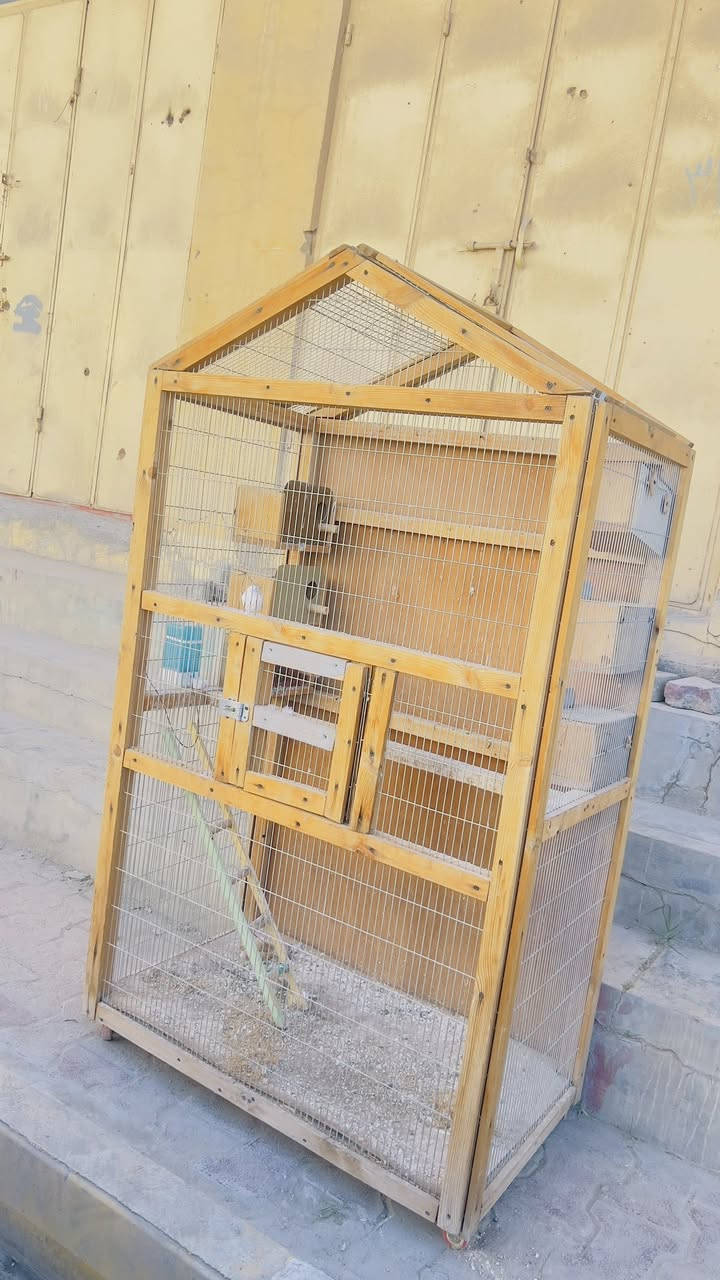 متاح
حي العمال ***********
