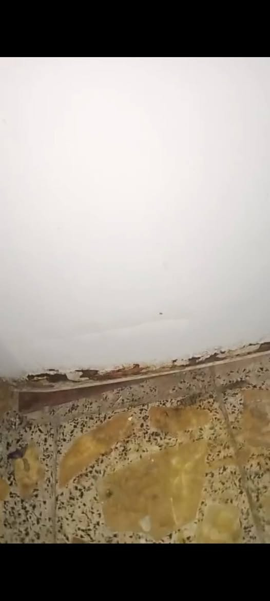 ثلاجه حجم كبير جدا شغاله اتبرد واجمد ع الفحص سعره 65وبيها مجال مستعجلين


**إذا كنت صاحب هذا الإعلان وتريد حذفه لأي سبب، رجاءا أرسل رسالة إلى الدعم الفني**