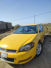 امبالا • ٢٠١١ • وارد امريكي