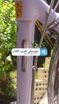 برجسون ٢٦ • بناتي • تاير ضد البنشر