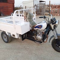 ستوته موديل 13 • أوراق أصولي • مكينة شادها