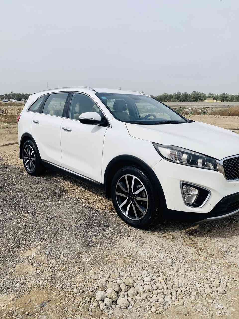 السلام عليكم سورنتو 2016 خليجي مكفولة ماعدا صبغ قليل بالبنيد 3 قطع تبريد 7 راكب بصمة تشغيل محرك 6 سلندر السيارة مال جناي السعر 210 للاستفسار الاتصال ع الرقم *********** مكاني الحله الخاص مفتوح
