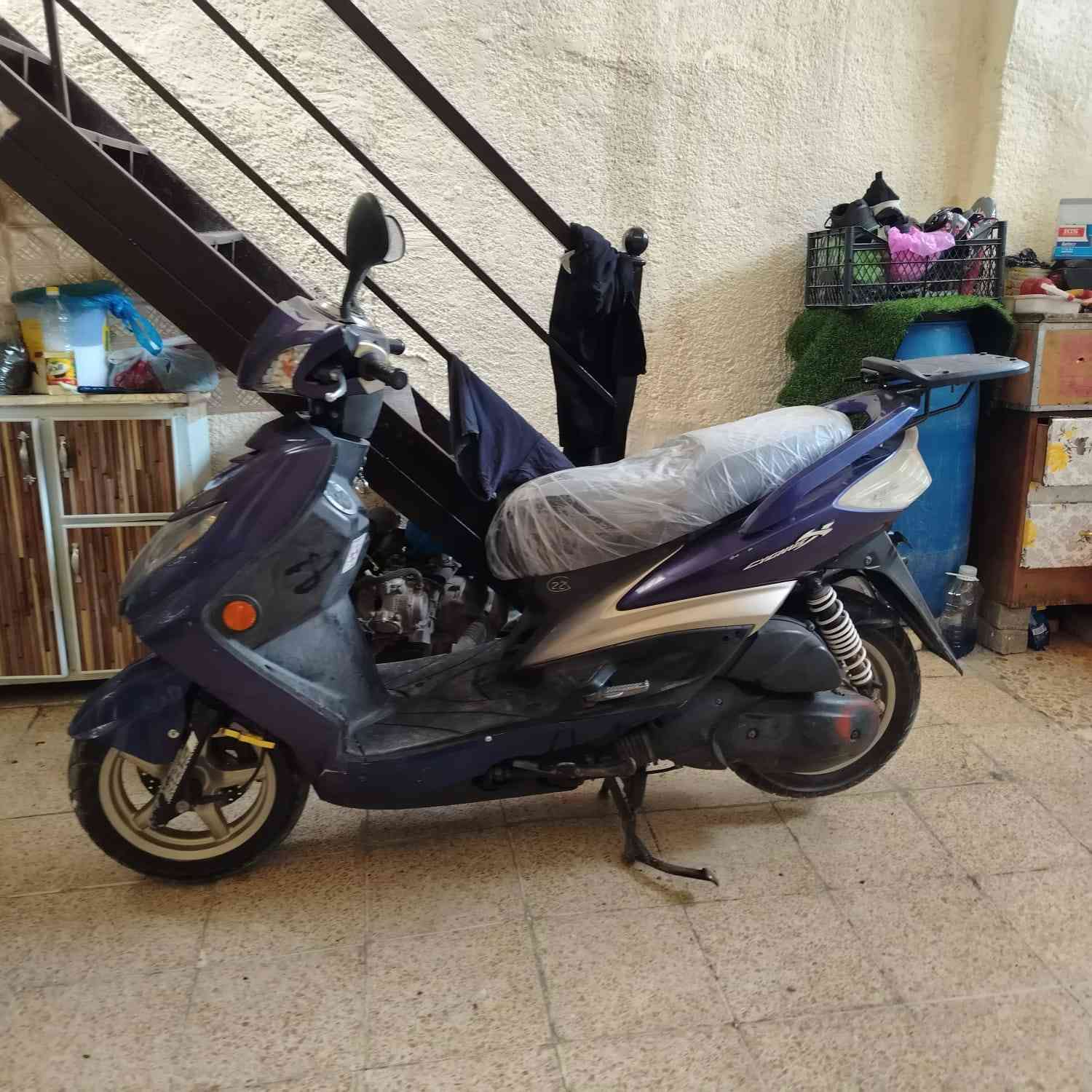 سلام عليكم سكنس فحل كوري البيع مكفوله كفاله عامه ام طلاعات خطين نوزل البيع رقم الجوال *********** مكان بغداد مدينه الصدر
