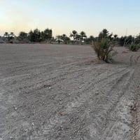 قطع زراعية • طابو سند ٢٥ • طريق حلة نجف