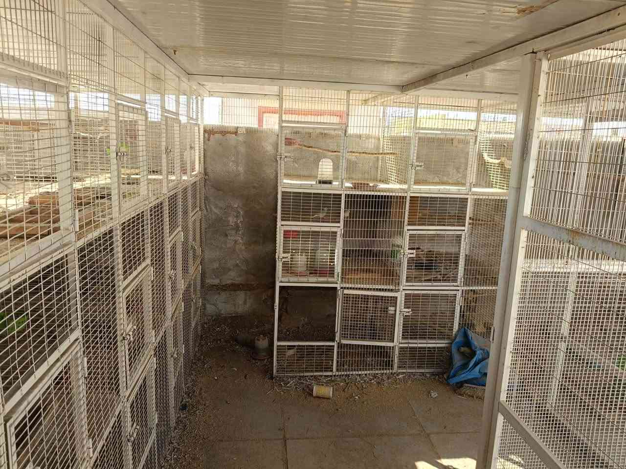 السلام عليكم
محمية حديد شغل درجة اولى لحيم تتكون من 30 خانه الواجهيه الخانه 70 ارتفاع 90 نزال 120 
المكان حله


**إذا كنت صاحب هذا الإعلان وتريد حذفه لأي سبب، رجاءا أرسل رسالة إلى الدعم الفني**